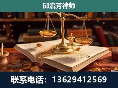 辉-新型网络犯罪
